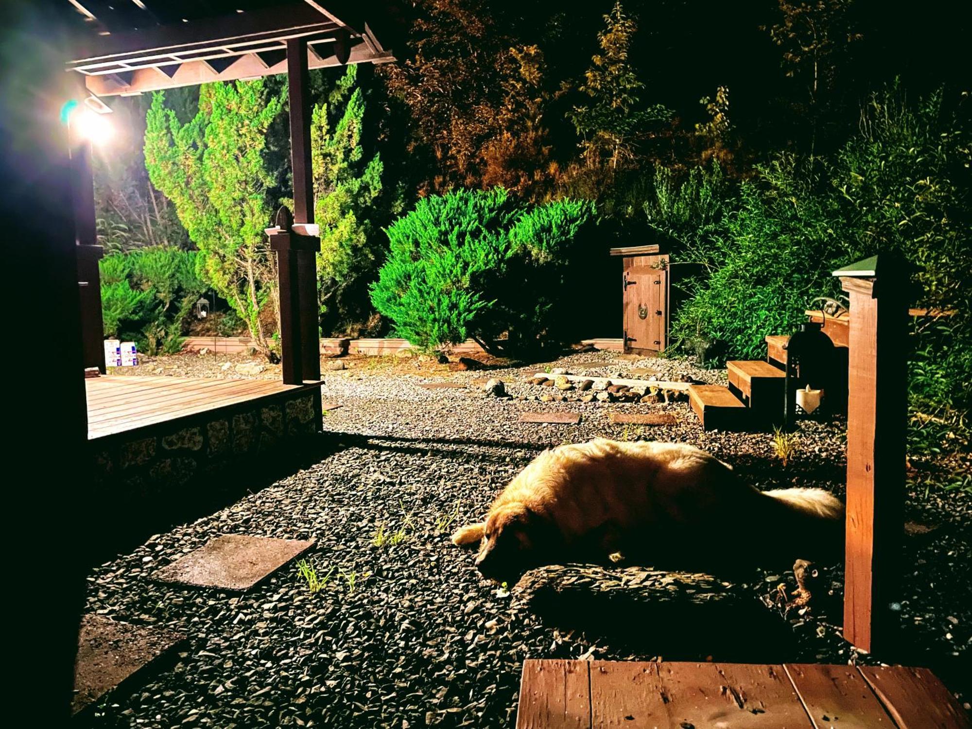 הוילה Cosby Tiny House, Wifi,Hot Tub,Secluded מראה חיצוני תמונה